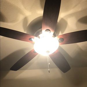 Meet your Posher, Oscar